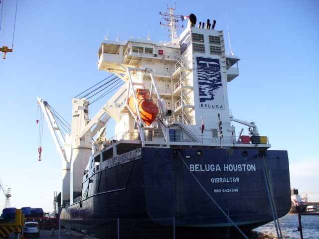 Beluga houston - penhoet - 30 octobre 2010 (01).JPG